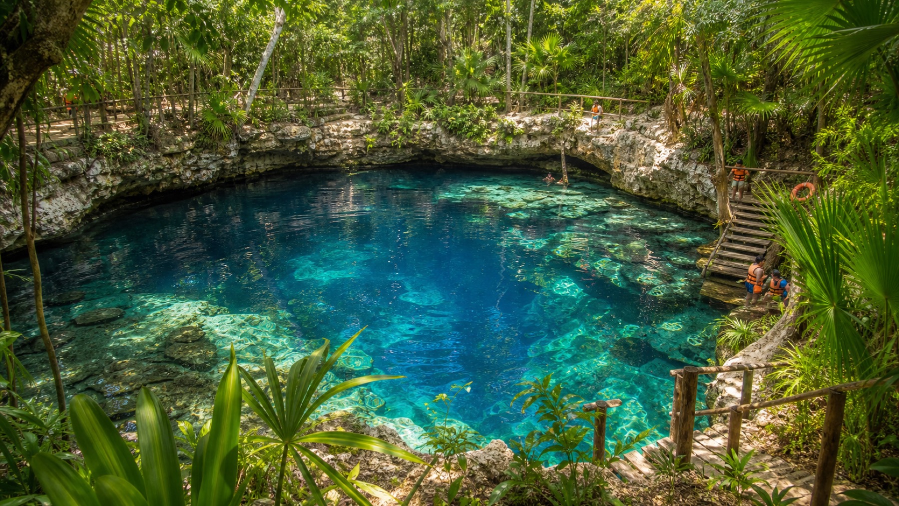 Clear blue cenote surrounded by Riviera Maya jungle